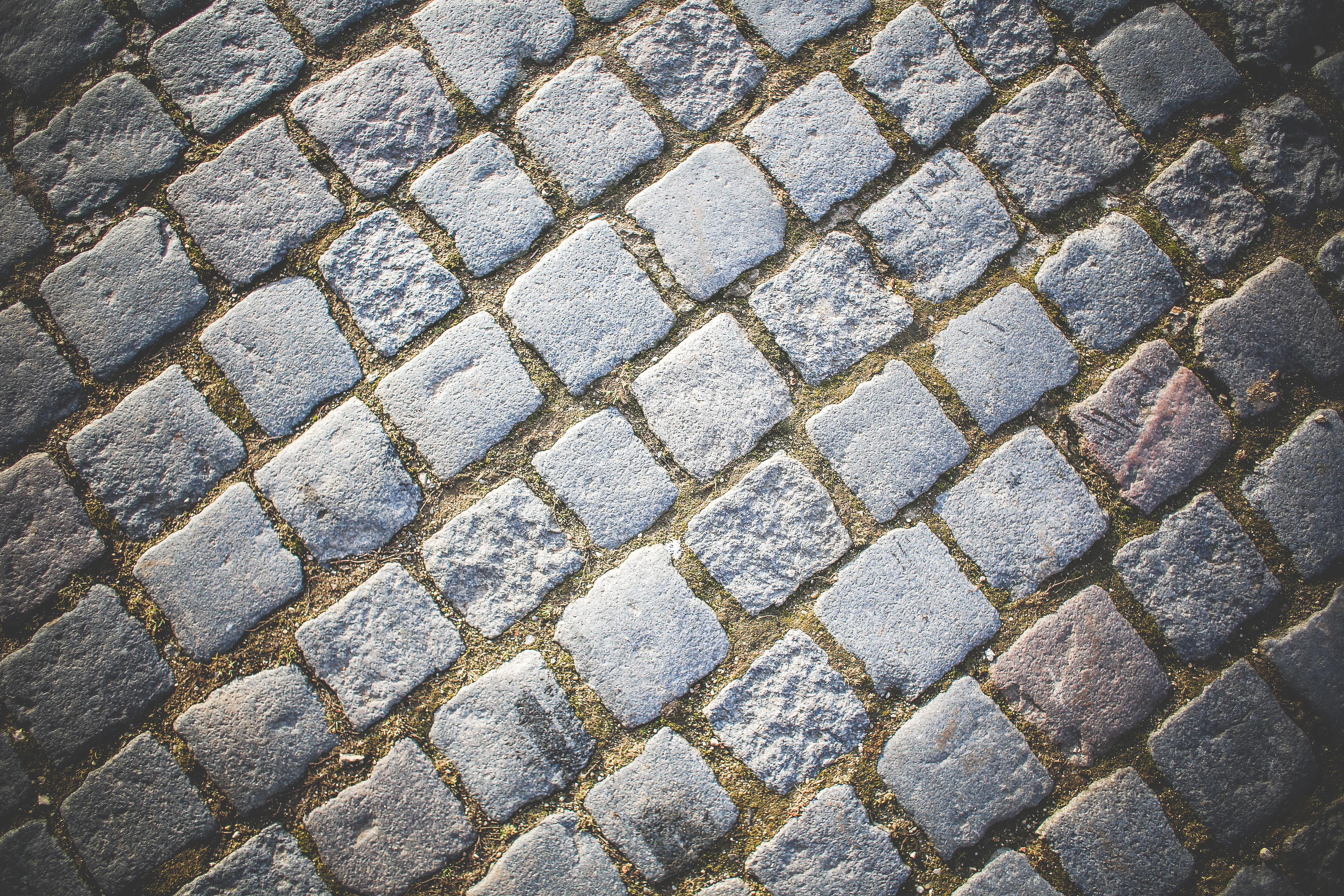 picjumbo.com_HNCK4140bis