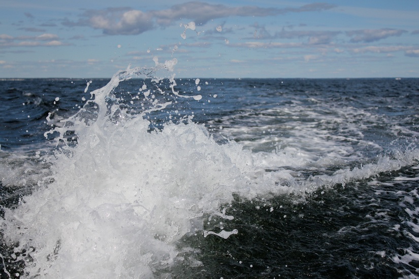 mare
