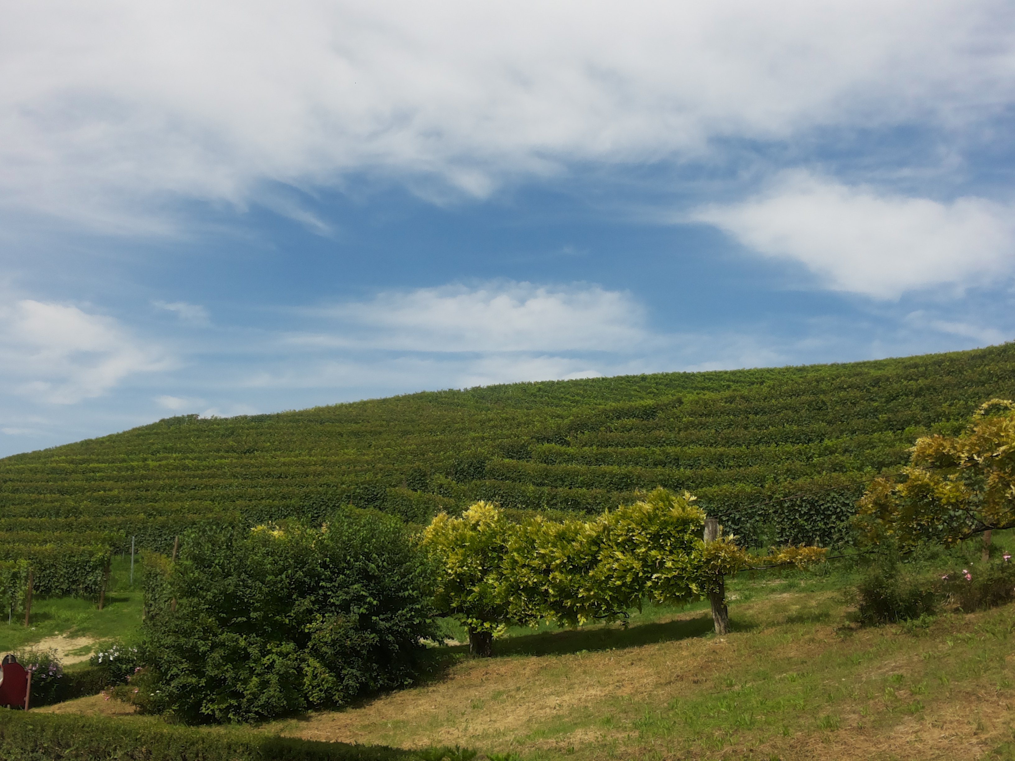20140824_120201