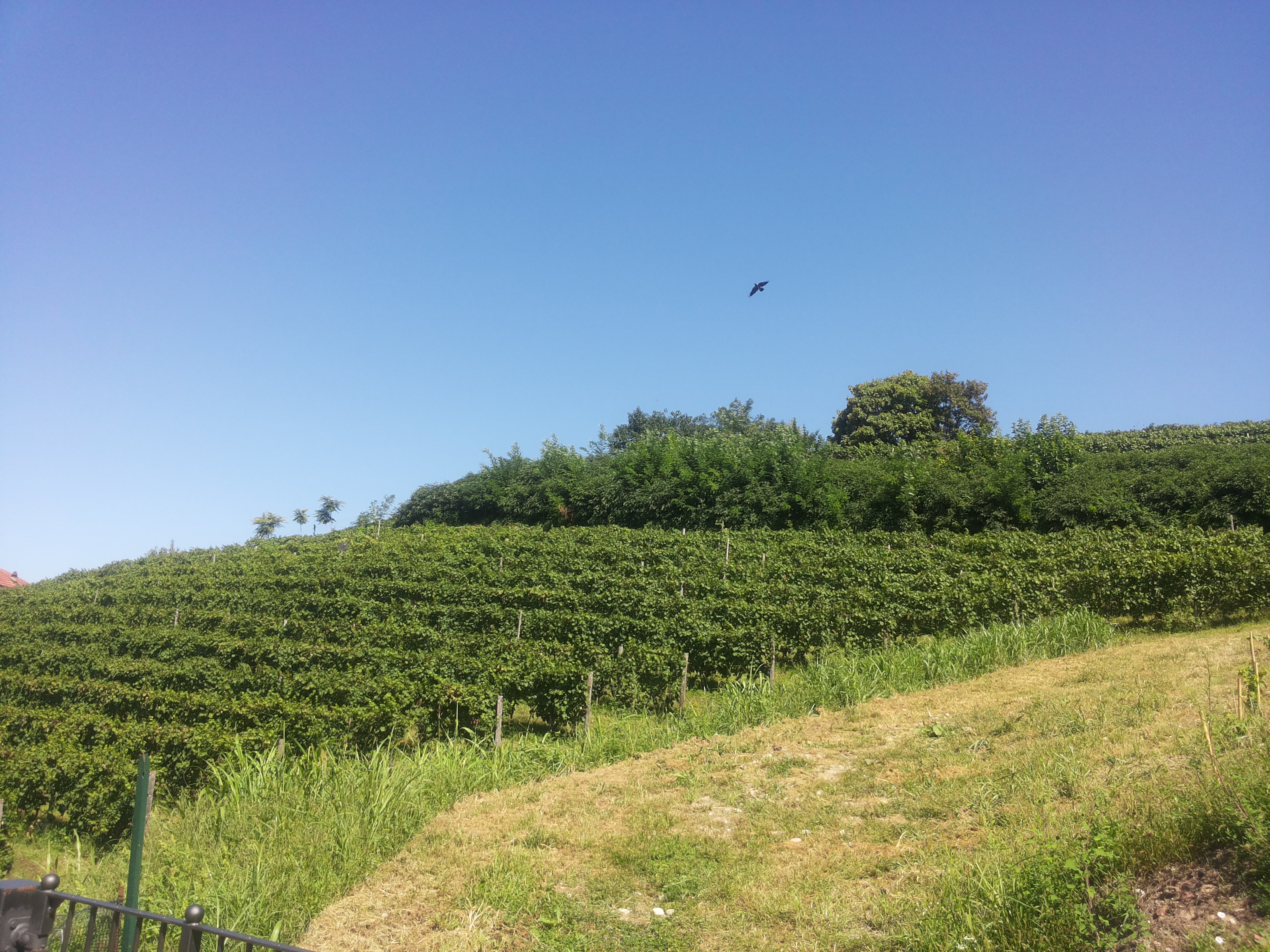20150906_125049