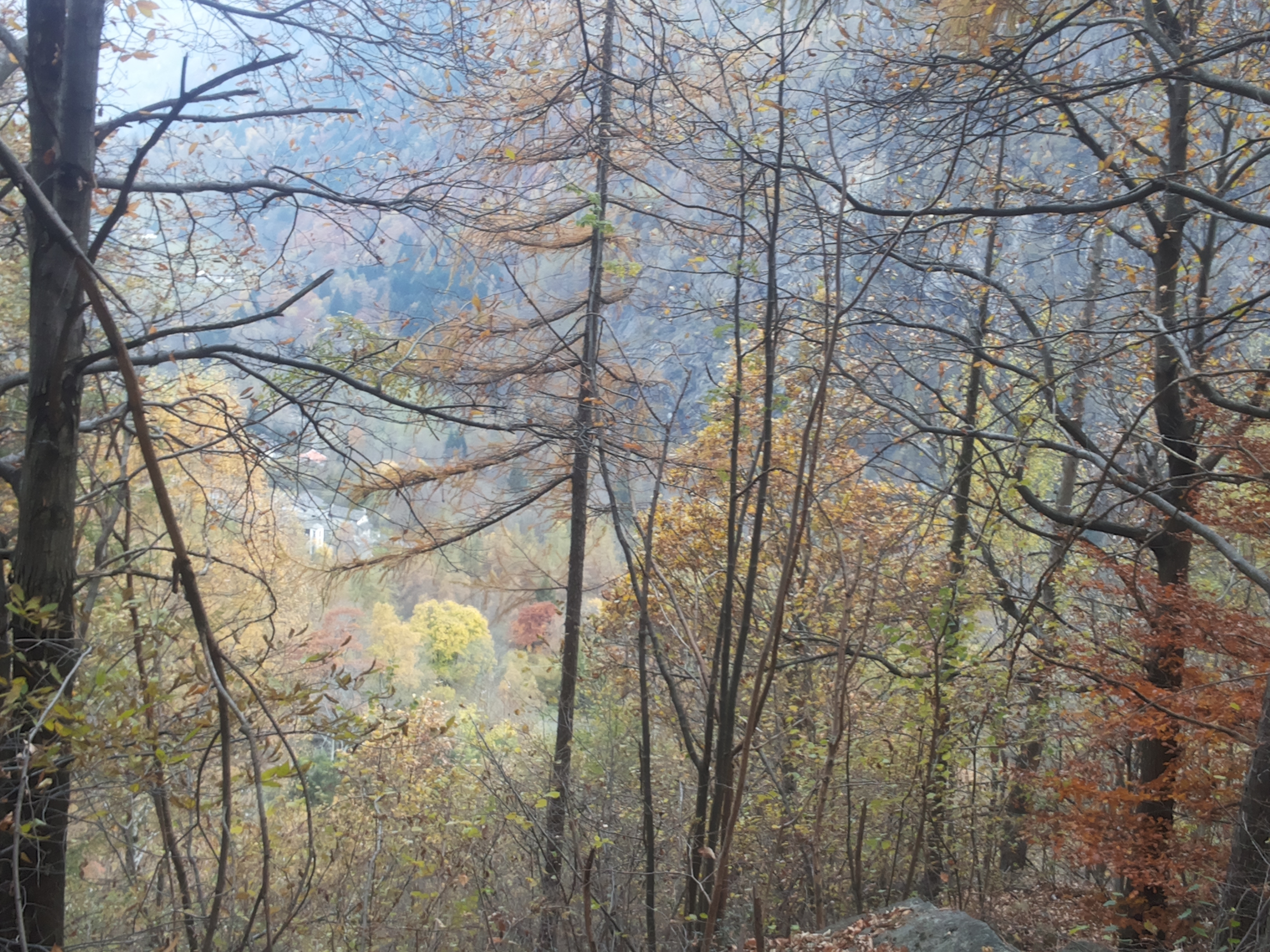 20151025_155126
