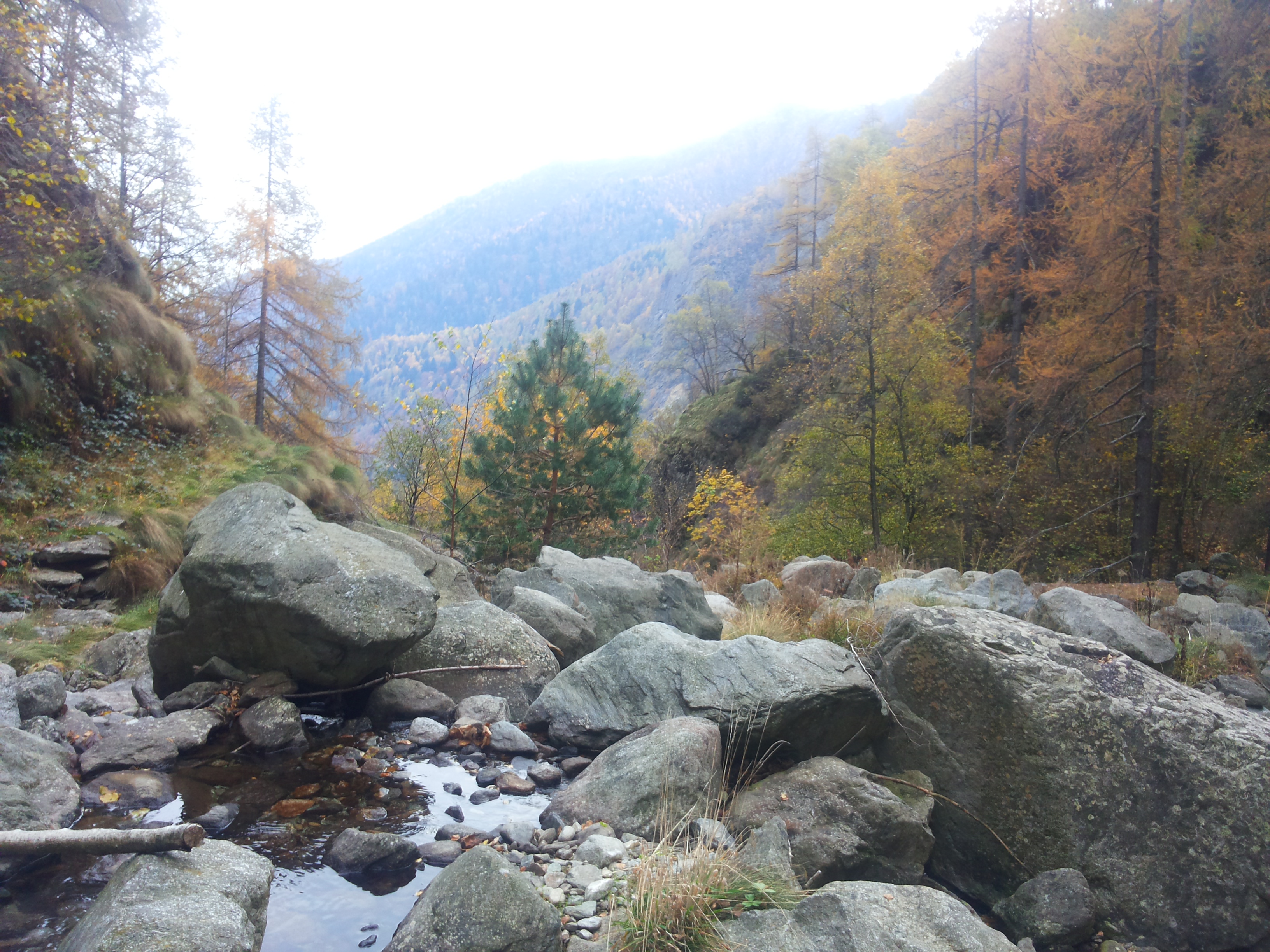 20151025_164238