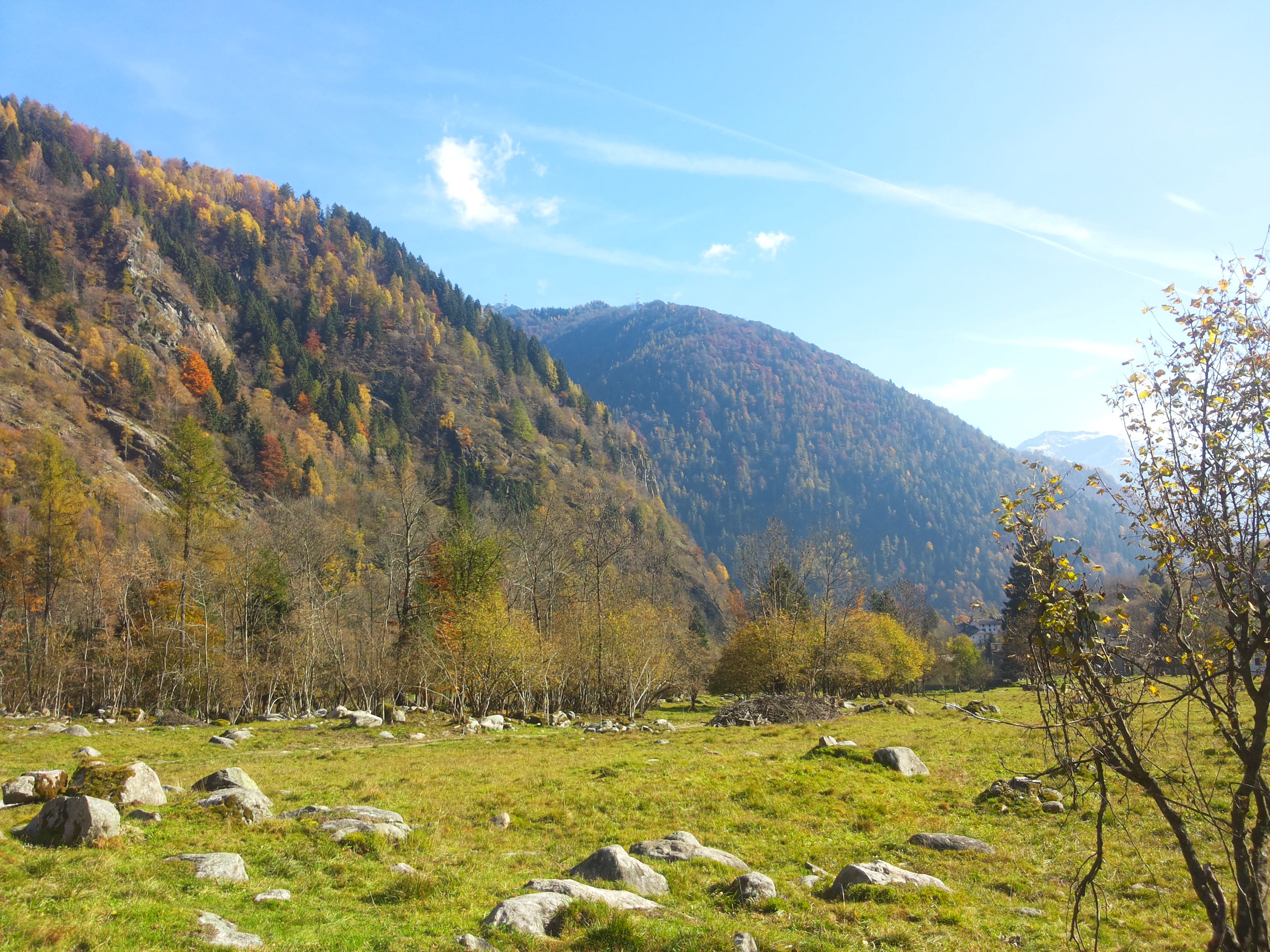20151026_114331
