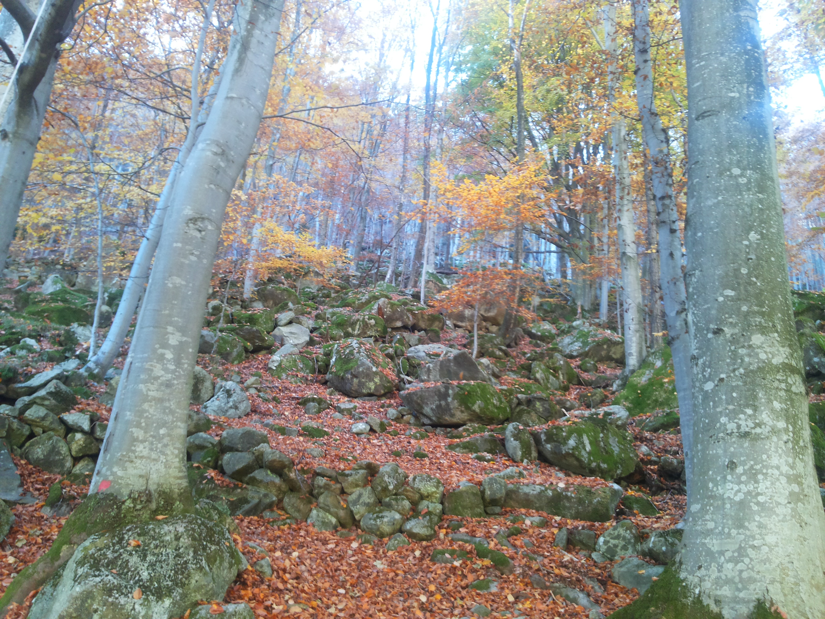 20151026_114853