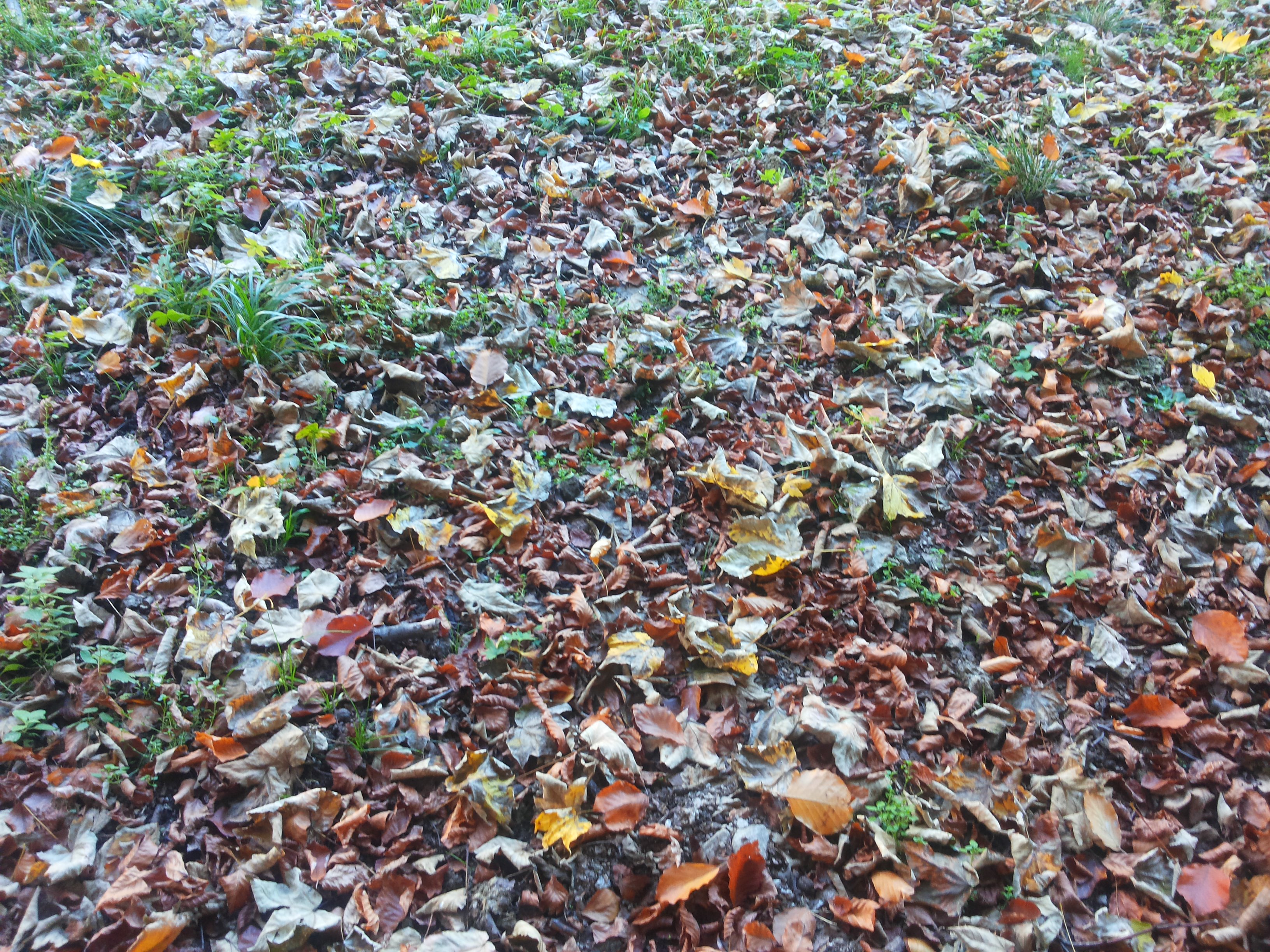 20151026_114931