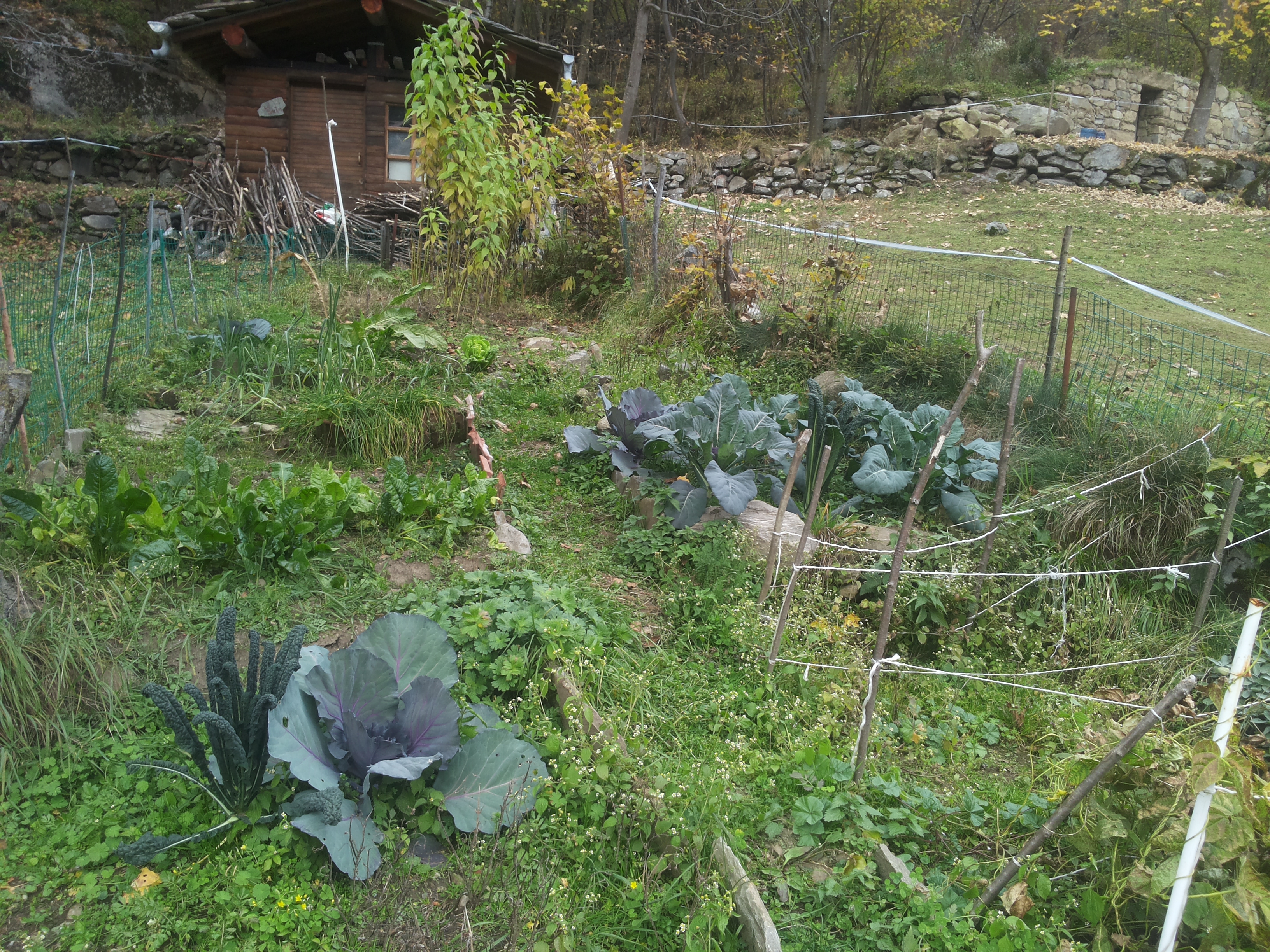 20151025_153538
