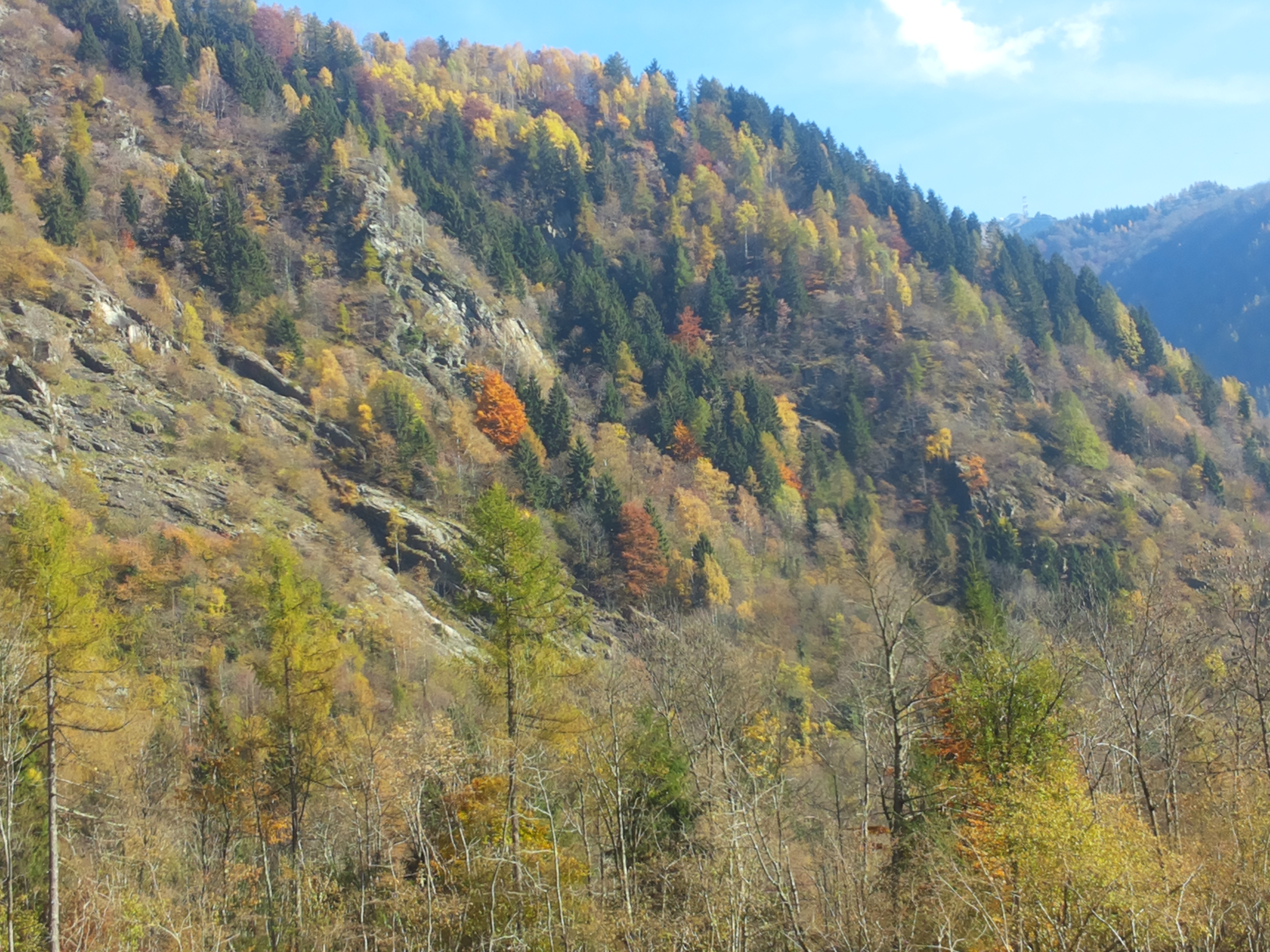 20151026_114316