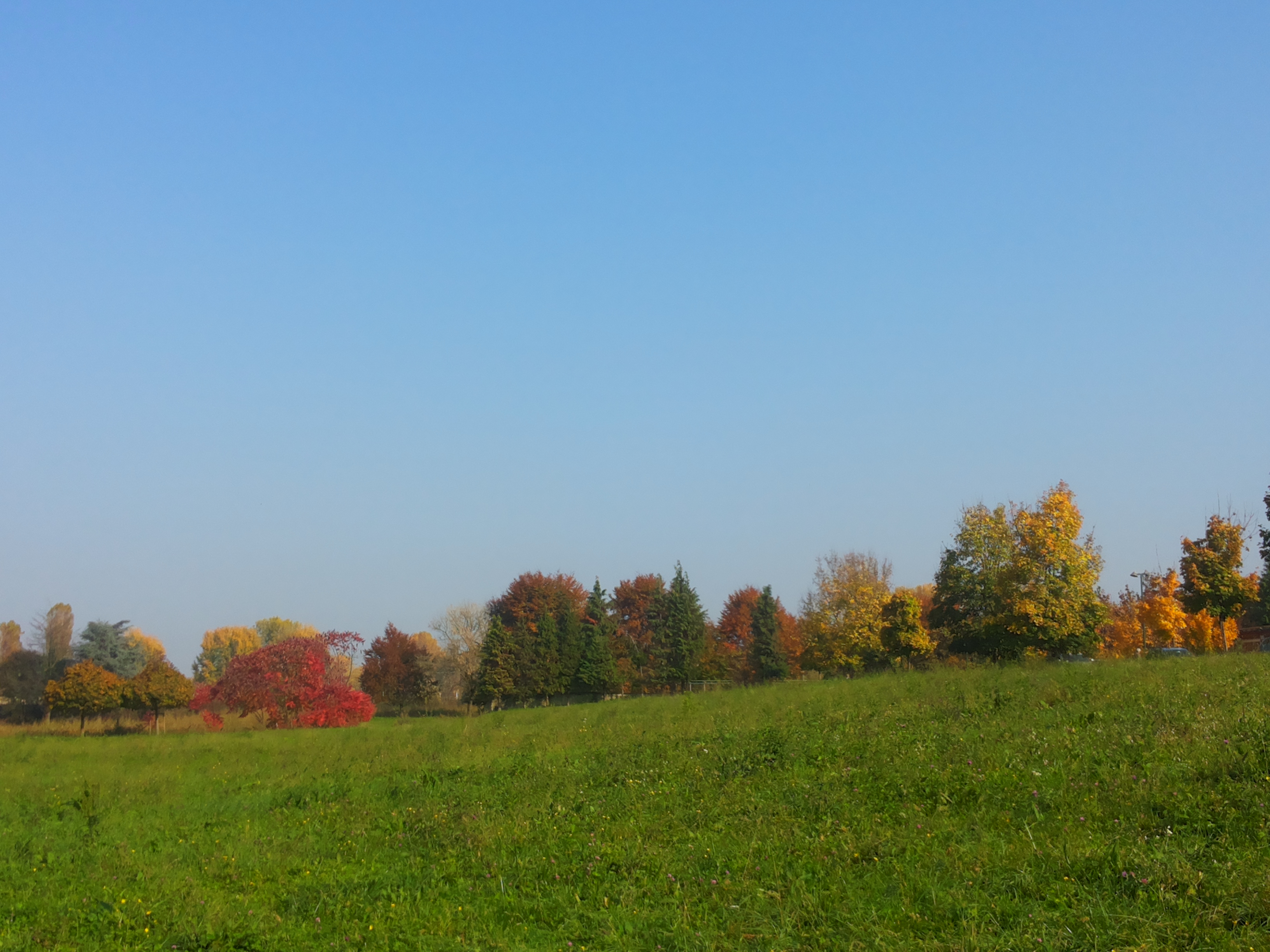 20151101_105317