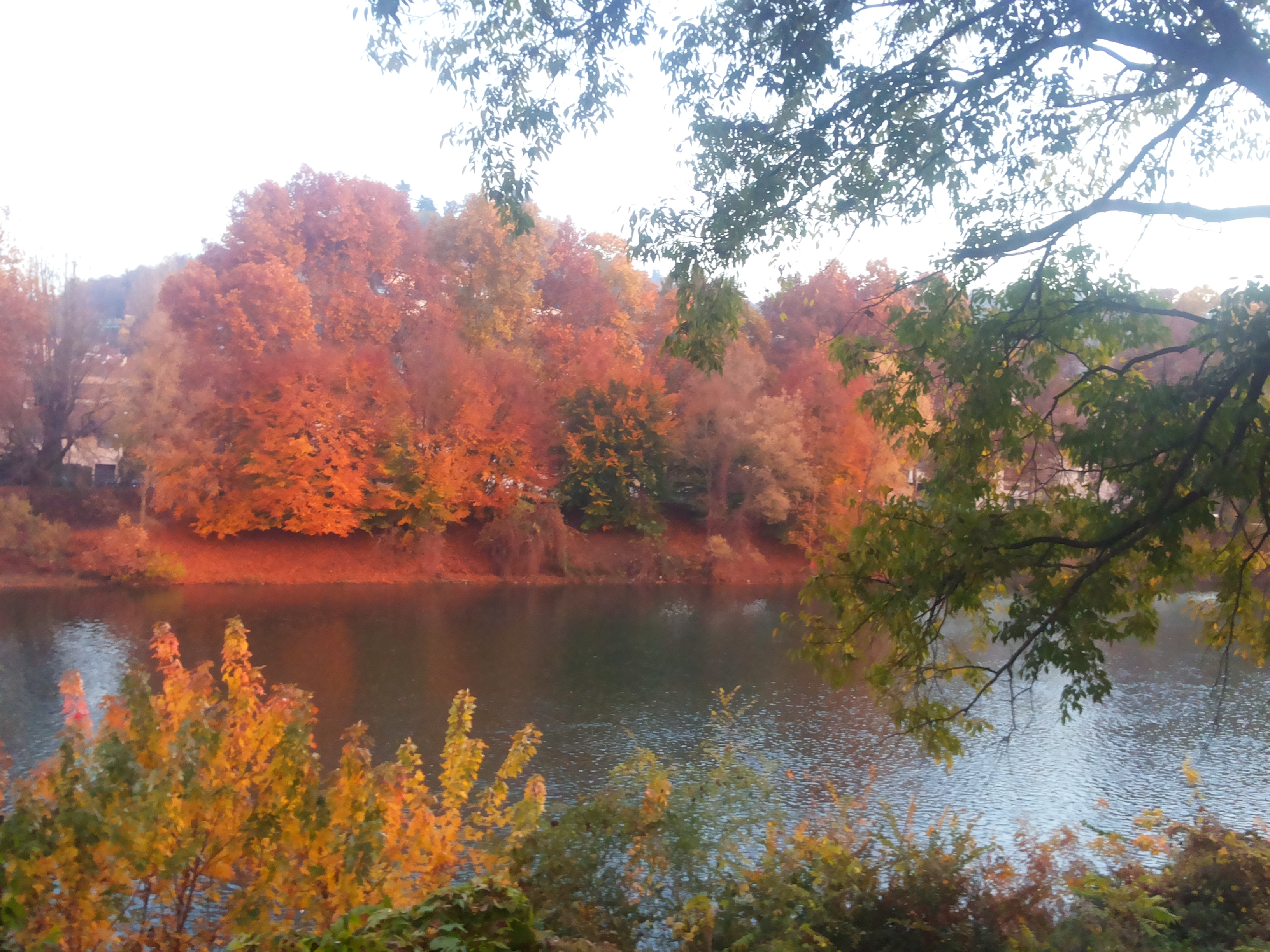 20151109_171507