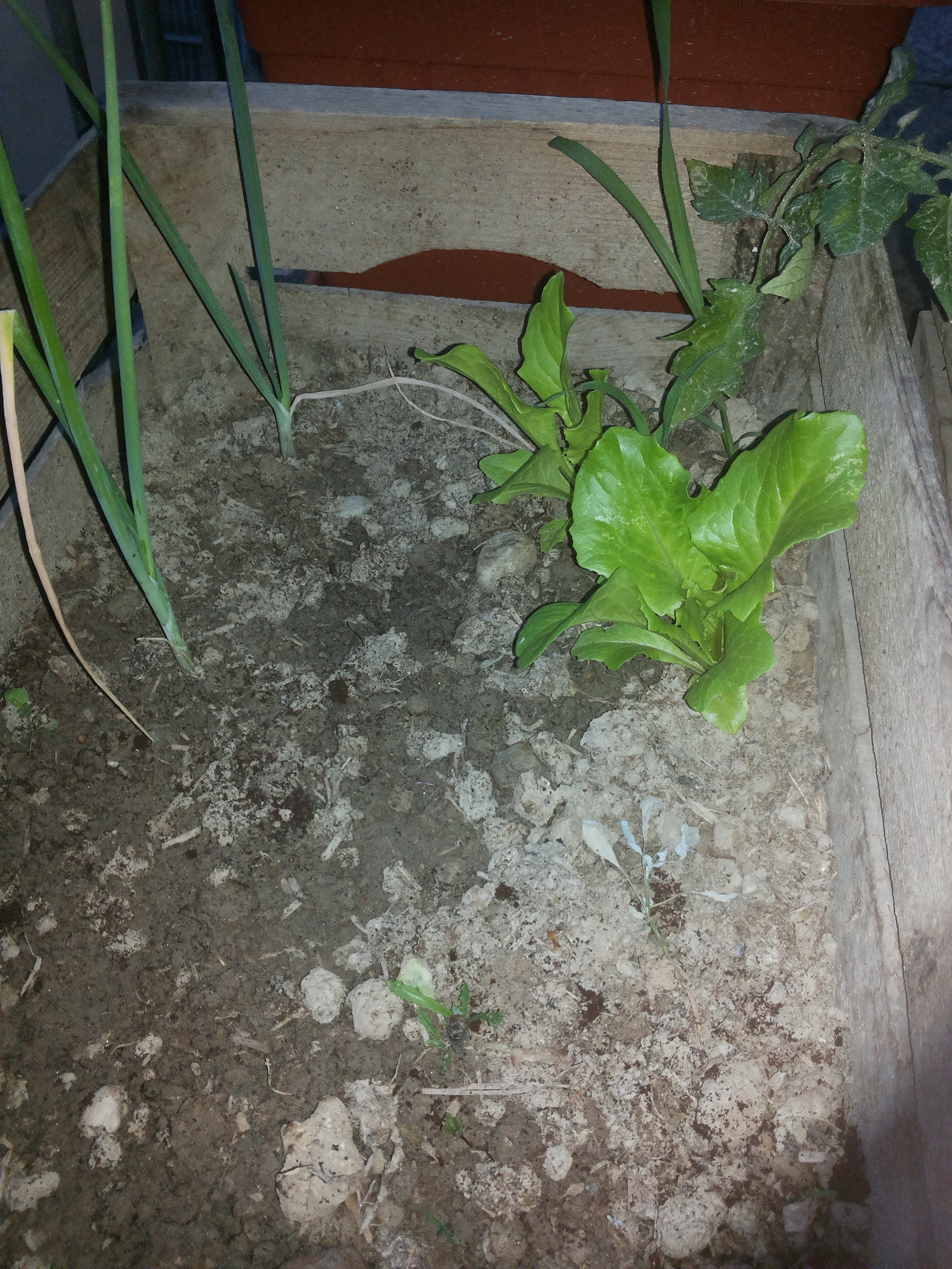 20160608_210508